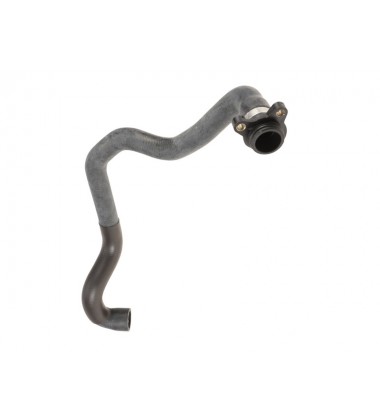 Cylinder Head-to-Thermostat Coolant Hose